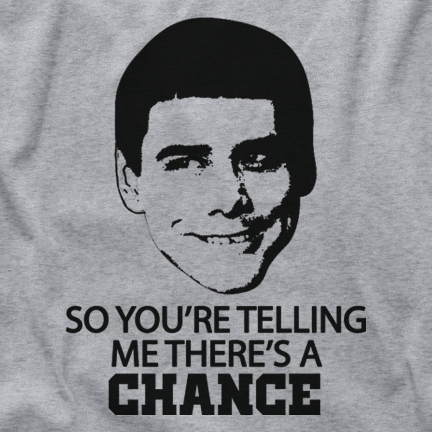 Dumb & and Dumber Dumberer To Two 2 3 So You're Telling Me There's A Chance Jim Carrey Jeff Daniels Lloyd Christmas Harry Dunne Tee T Shirt